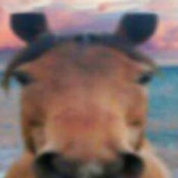 My profile picture